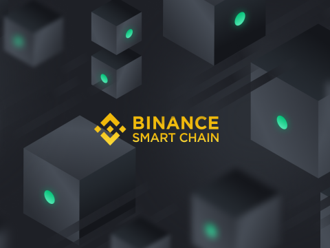 binance smart chain network