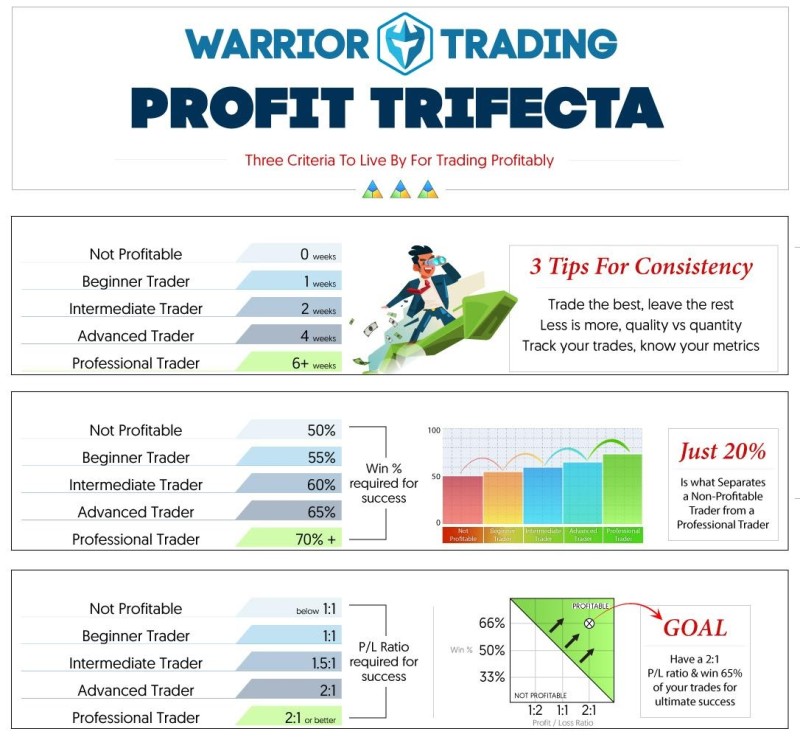 Recommendations for profitable trading from Trading Warrior