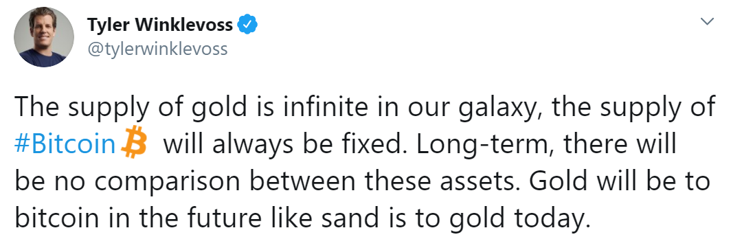Image Source: Twitter @tylerwinklevoss